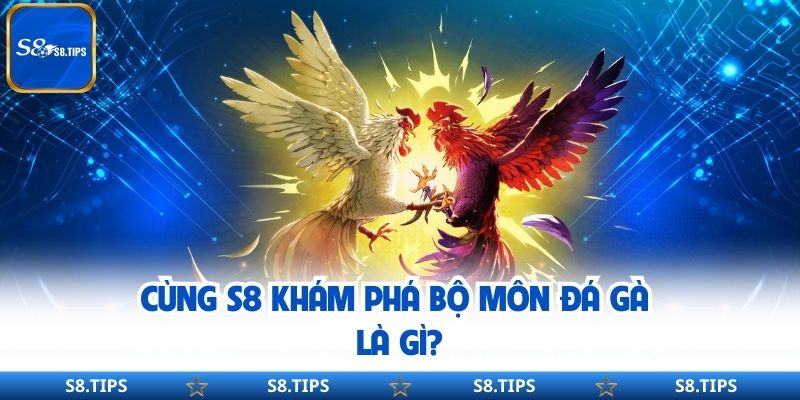 Cùng S8 Khám Phá Bộ Môn Đá Gà Là Gì?